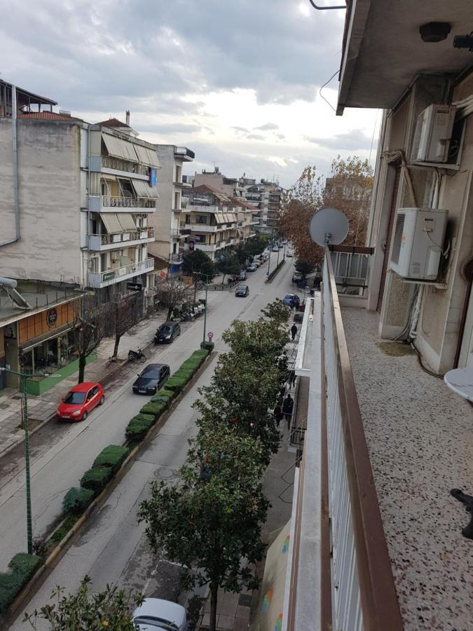 Goodbye, Lenin Apartment Trikala  Bagian luar foto